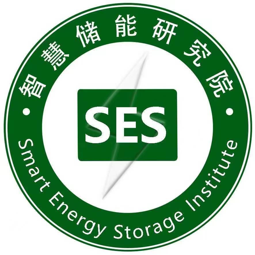 Smart Energy Storage Institute